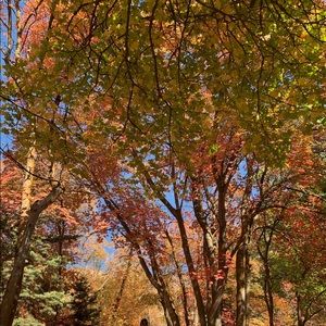 Meet your Posher, Vincent